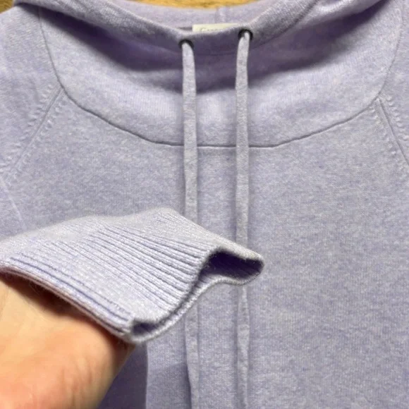 Garnet Hill Cashmere Hoodie - Picture 5 of 7